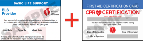 Sample American Heart Association AHA BLS CPR Card Certification and First Aid Certification Card from CPR Certification Clearwater