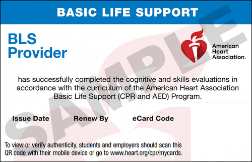 Sample American Heart Association AHA BLS CPR Card Certification from CPR Certification Clearwater