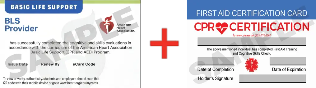 Sample American Heart Association AHA BLS CPR Card Certification and First Aid Certification Card from CPR Certification Clearwater