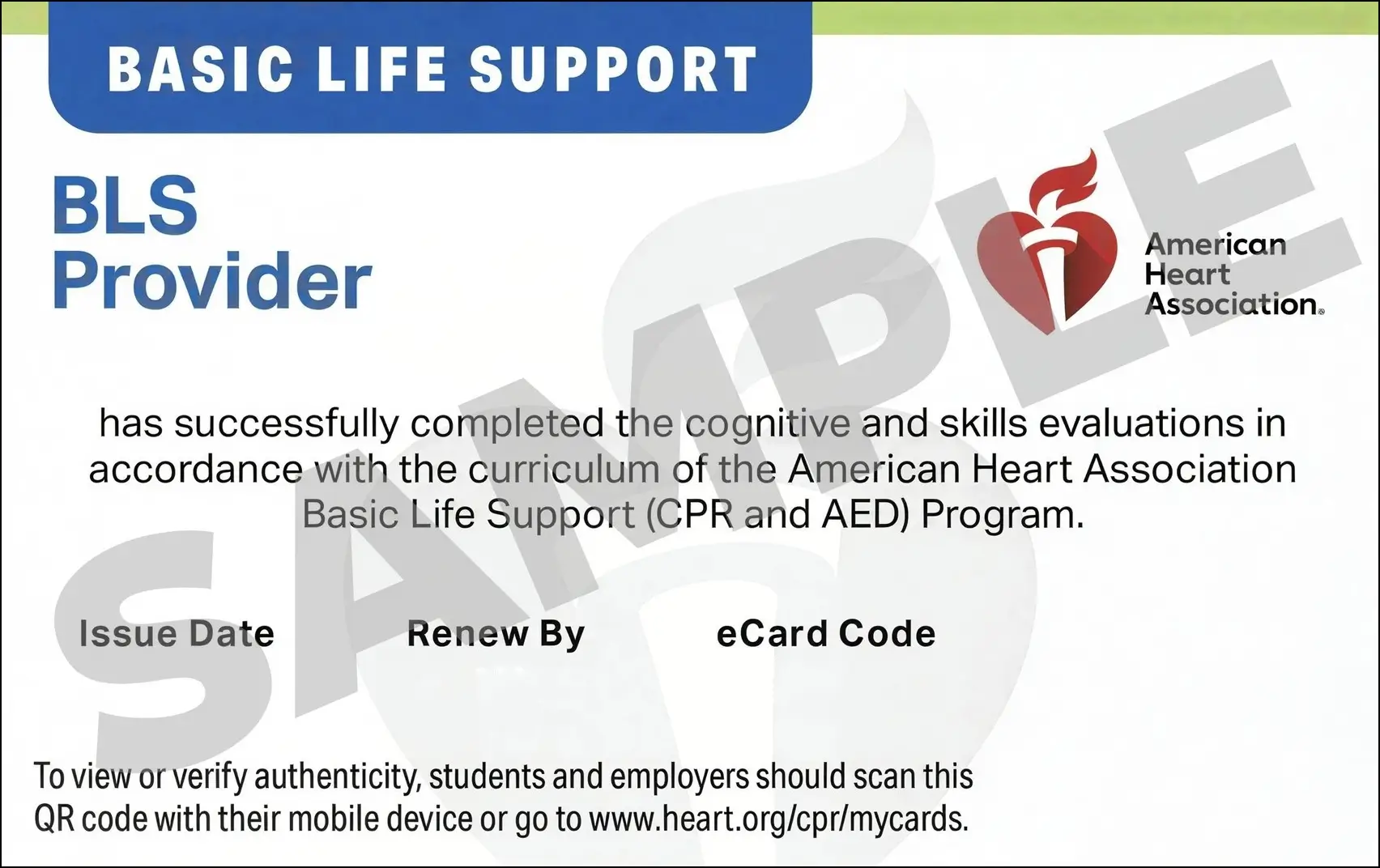 Sample American Heart Association AHA BLS CPR Card Certification from CPR Certification Clearwater